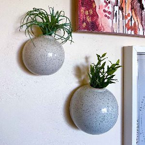 Wall hanging plants