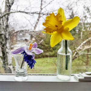 tip for single fresh flowers at home 