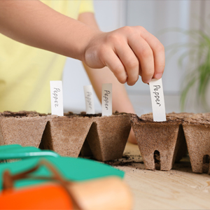 Planting a garden to enjoy summer