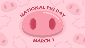 National Pig Day Goodwill NCW