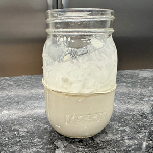 Watching your Sourdough Starter with Goodwill NCW grow