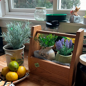 Final image of your kitchen herb garden