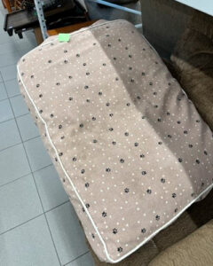 Pet Bed from Goodwill NCW