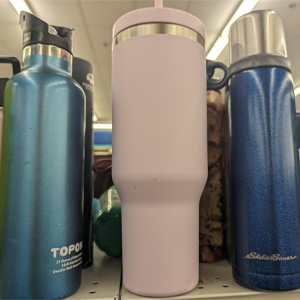 Water Bottles for your Festival Fun
